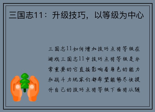 三国志11：升级技巧，以等级为中心